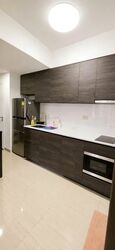 Sims Urban Oasis (D14), Condominium #561753921